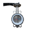 Van bướm inox