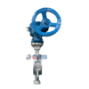 Van bướm inox